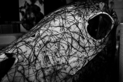 inked skull